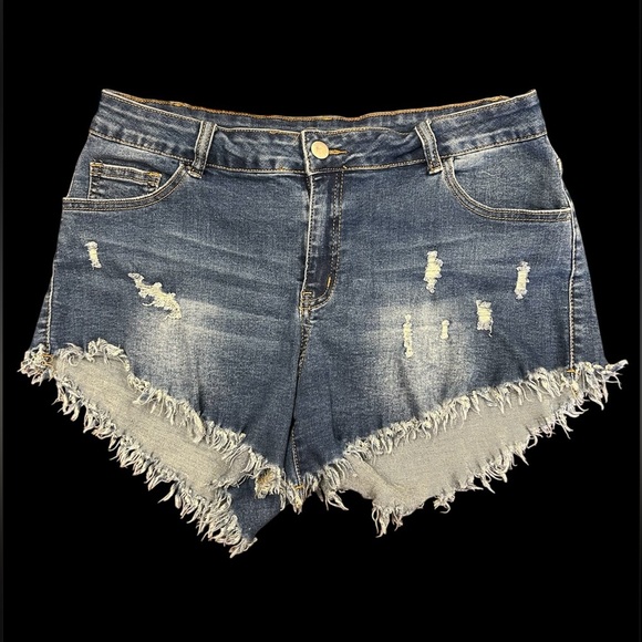 SHEIN Pants - Denim Distressed Women Shorts, GUC, size XXL